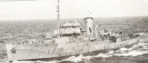 La corvette HMS Myositis de classe Flower